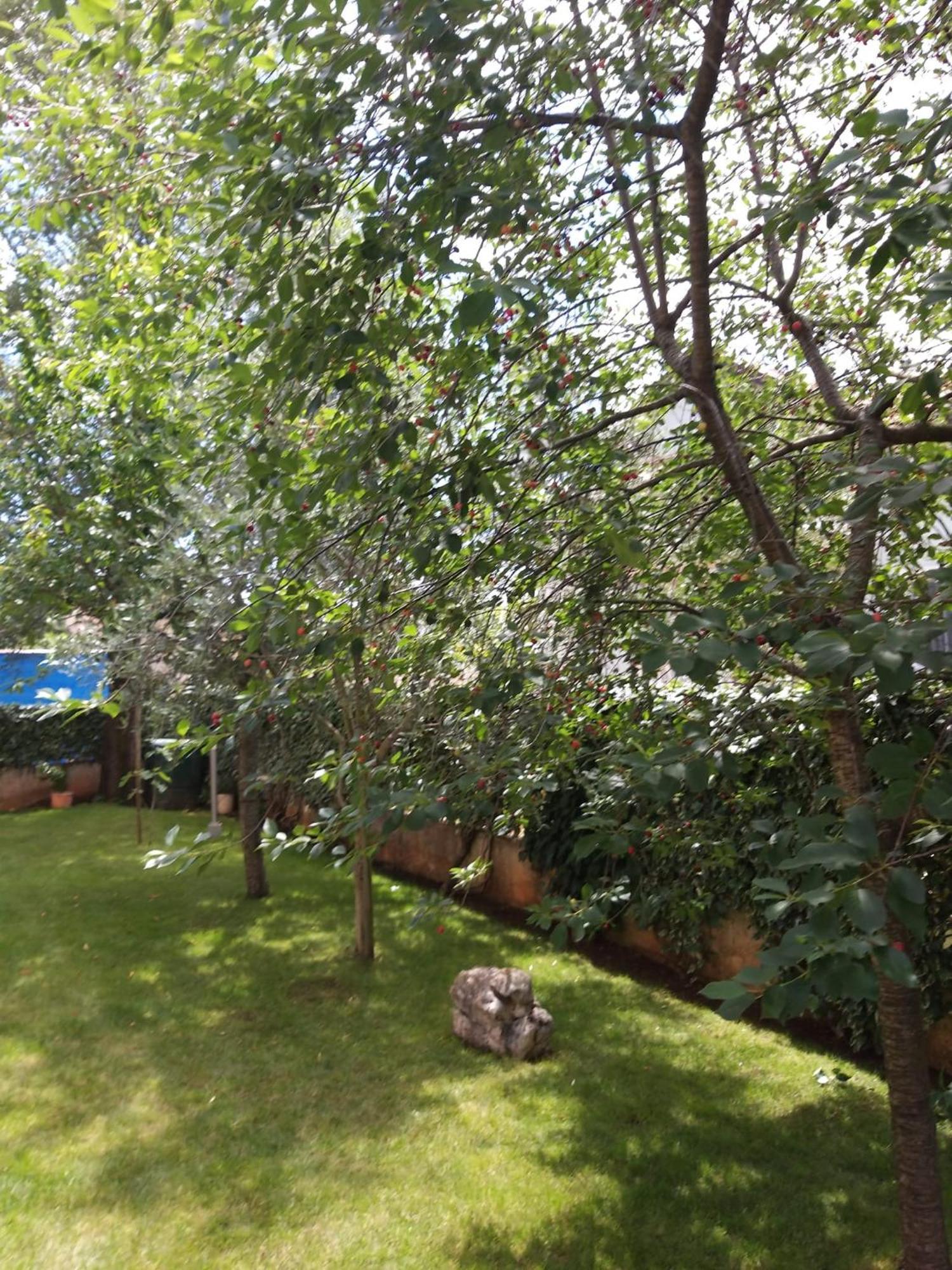 Apartmani Anita Malinska Exterior foto