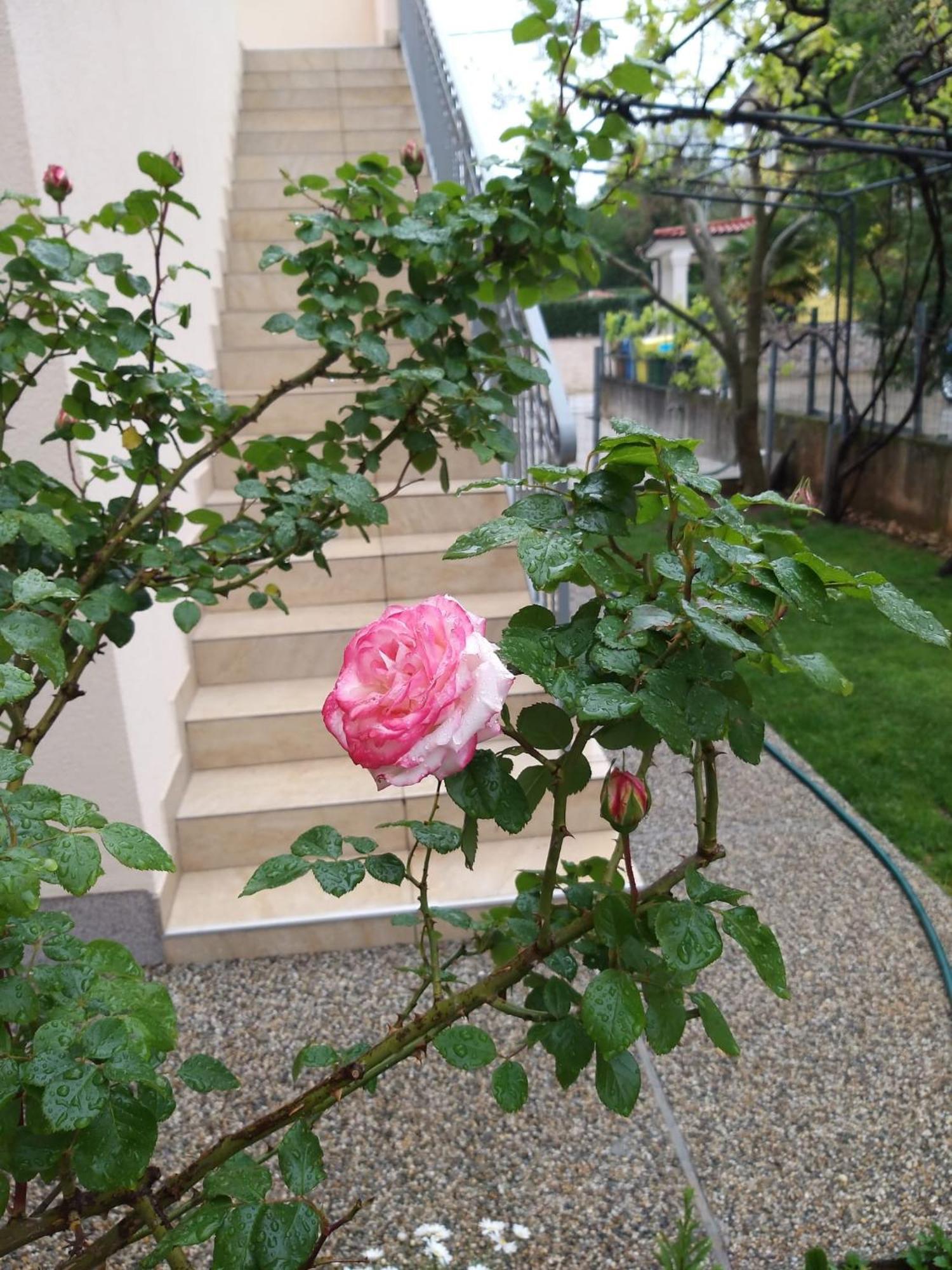Apartmani Anita Malinska Exterior foto